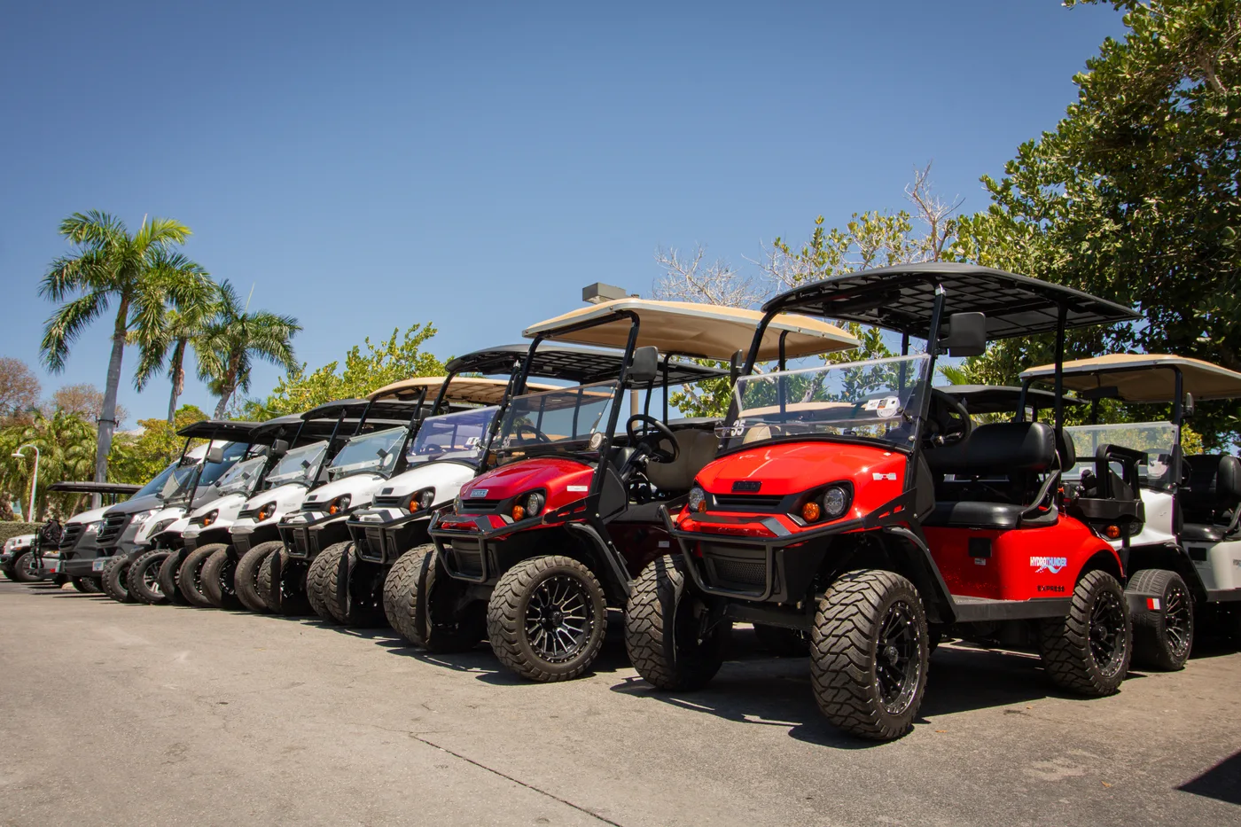 HydroThunder fleet of golf carts