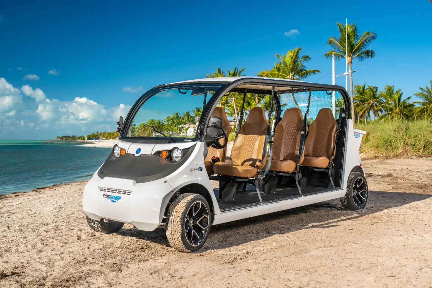 6 Passenger Electric Car