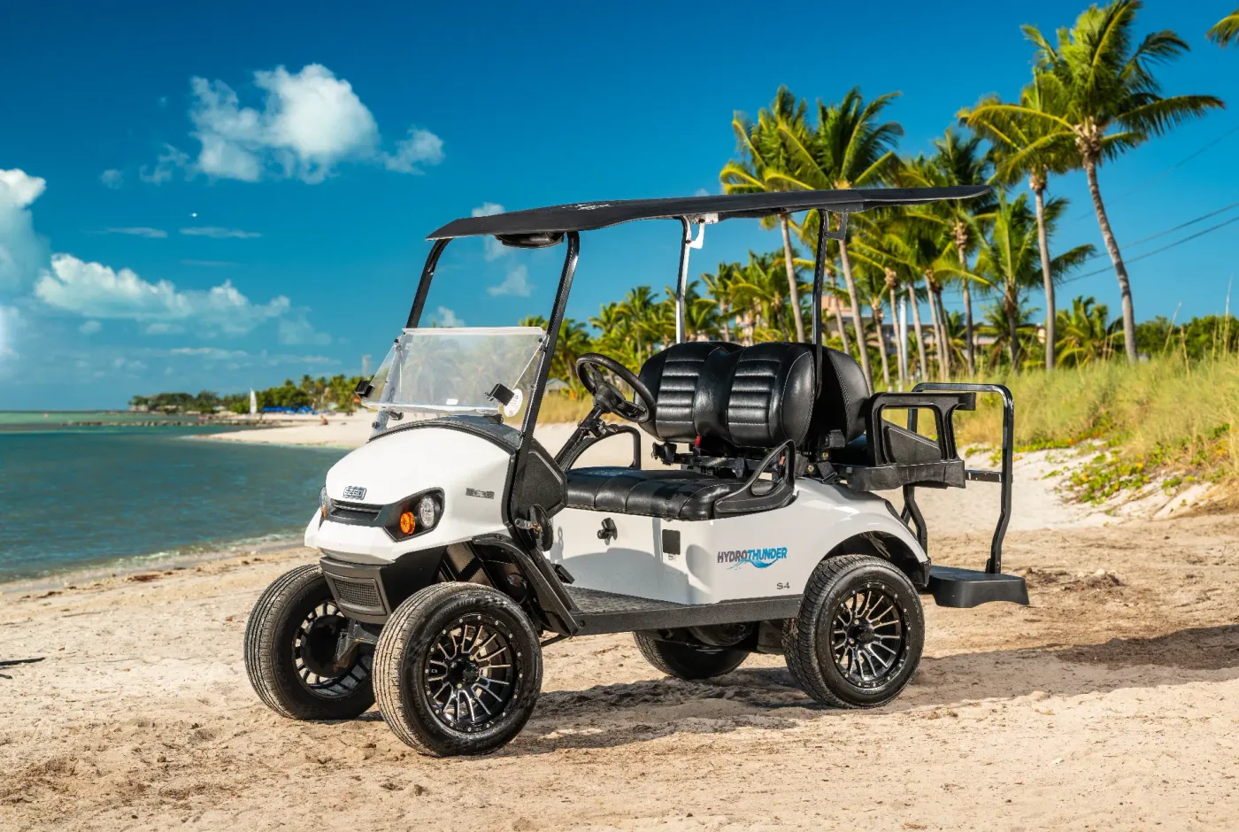4 Passenger Golf Cart