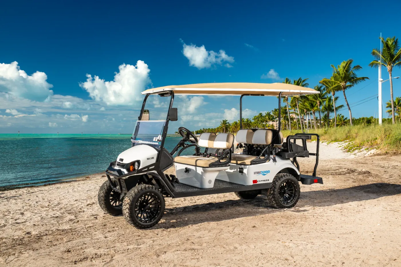 6 Passenger Golf Cart