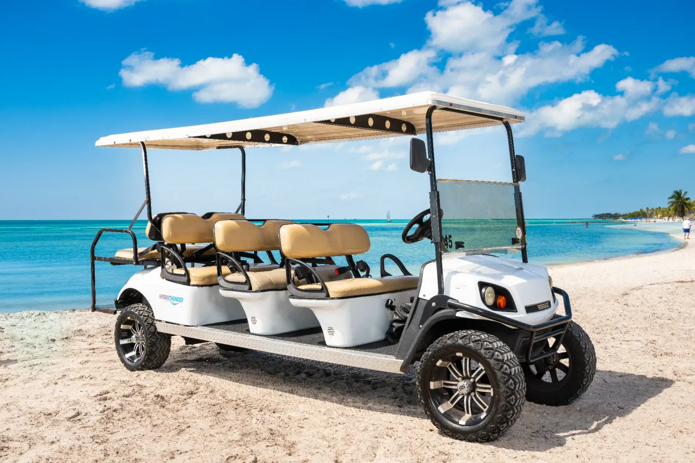 8 Passenger Golf Cart